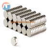 nam cham vien 5x3mm