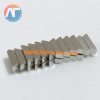 nam châm viên hình thang 8mmx5mmx3mm