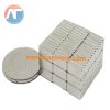 nam cham vien hinh chu nhat 10mmx5mmx5mm