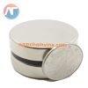nam-cham-vien-tron-10x5mm