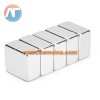 nam-cham-vien-vuong-20x20x10mm