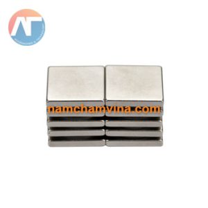 nam-cham-vien-vuong-20x20x5mm