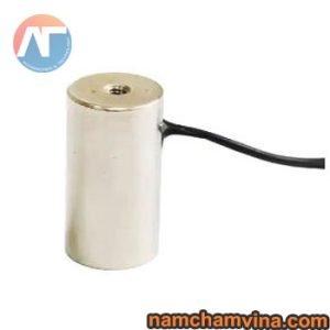 nam-cham-dien-co-nho